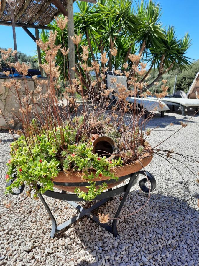 Hacienda La Buena Vida B&B En Appartementen Casita La Bruja Algarinejo Buitenkant foto