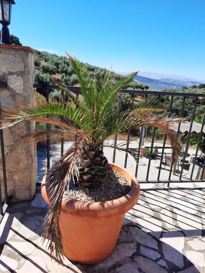 Hacienda La Buena Vida B&B En Appartementen Casita La Bruja Algarinejo Buitenkant foto