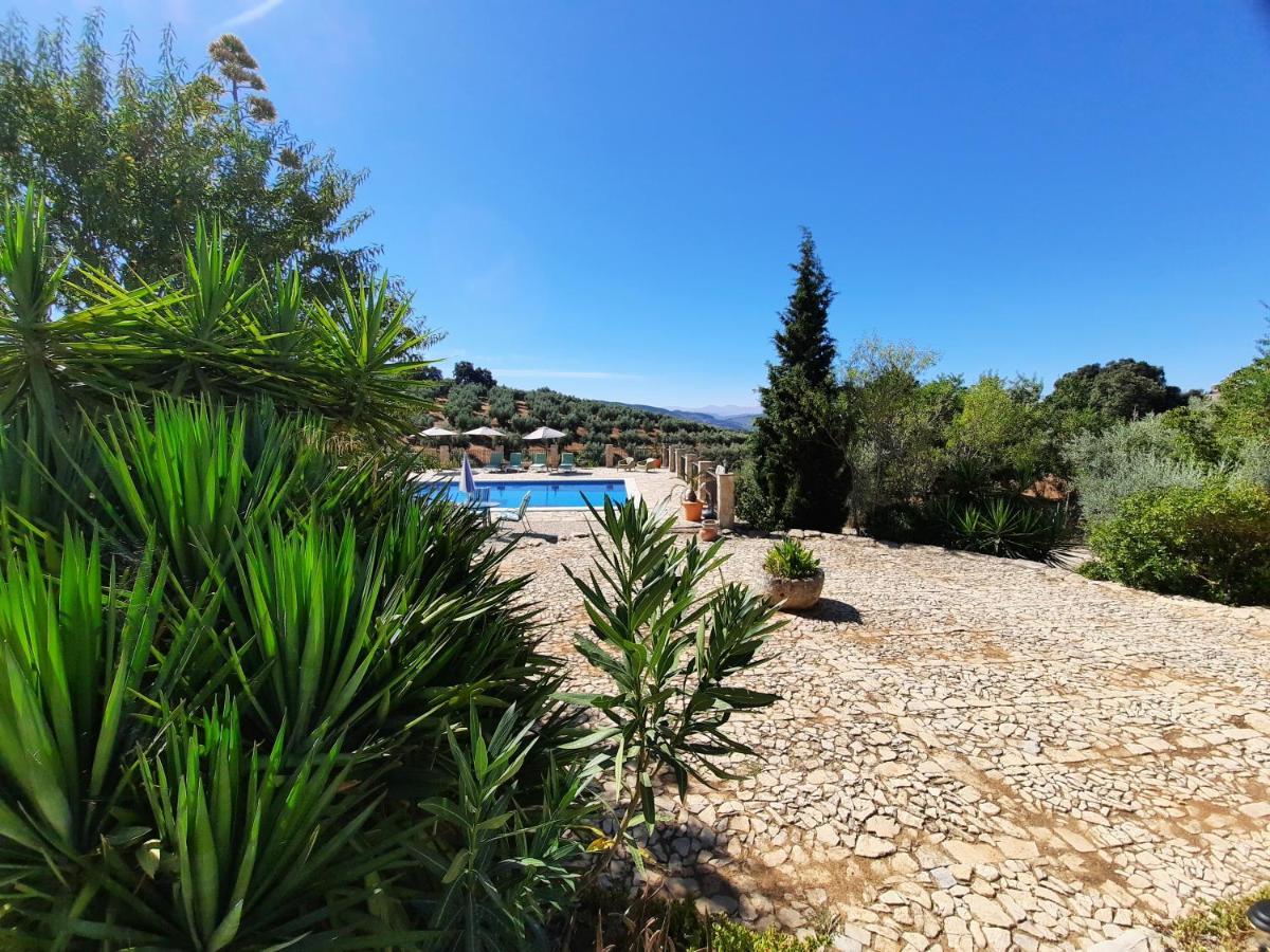 Hacienda La Buena Vida B&B En Appartementen Casita La Bruja Algarinejo Buitenkant foto