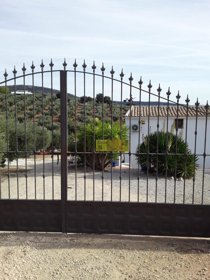 Hacienda La Buena Vida B&B En Appartementen Casita La Bruja Algarinejo Buitenkant foto