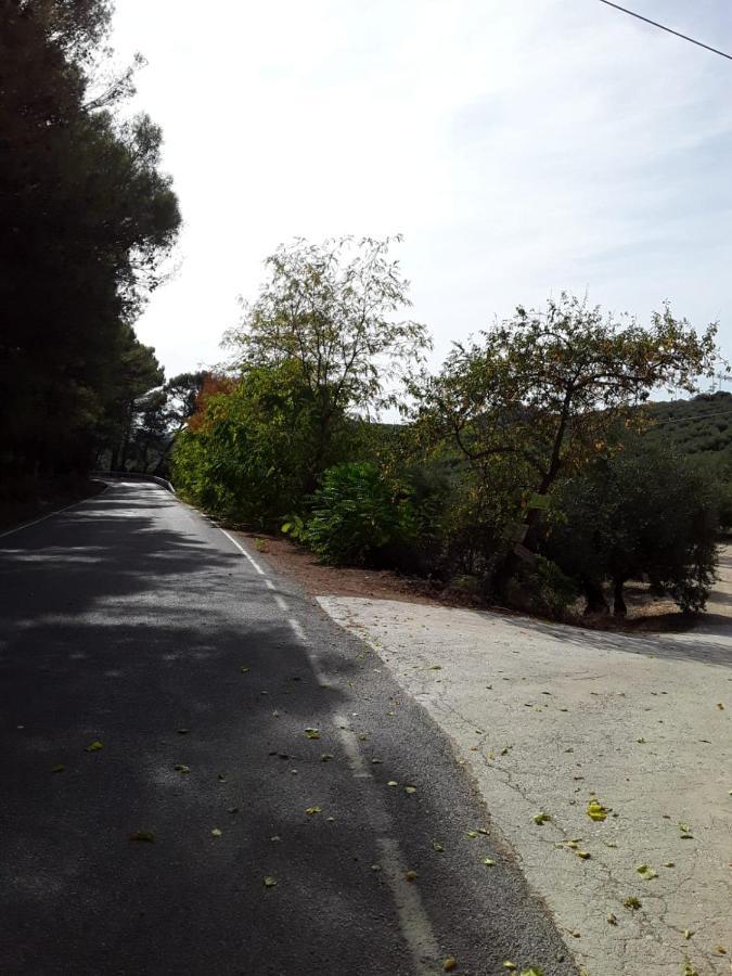 Hacienda La Buena Vida B&B En Appartementen Casita La Bruja Algarinejo Buitenkant foto