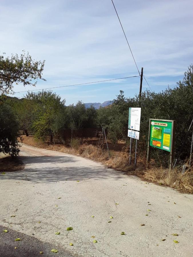 Hacienda La Buena Vida B&B En Appartementen Casita La Bruja Algarinejo Buitenkant foto