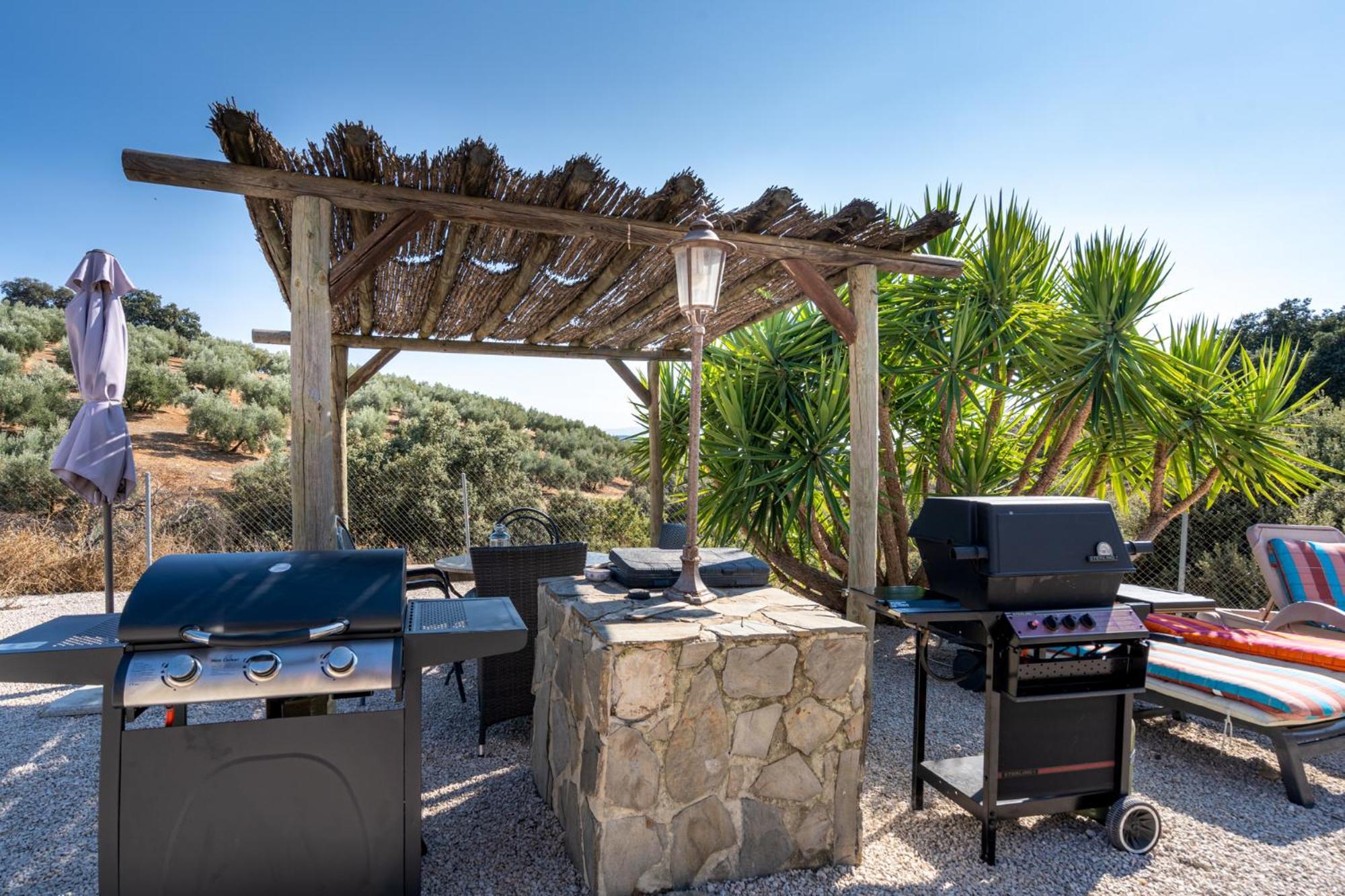 Hacienda La Buena Vida B&B En Appartementen Casita La Bruja Algarinejo Kamer foto